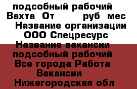 подсобный рабочий . Вахта. От 30 000 руб./мес. › Название организации ­ ООО Спецресурс › Название вакансии ­ подсобный рабочий - Все города Работа » Вакансии   . Нижегородская обл.